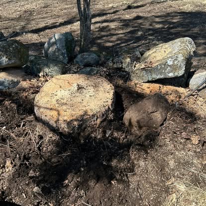 Tree stump ground out in a rocky Connecticut backyard