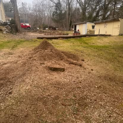 Yard cleaned up after stump removal, grindings neatly mounded