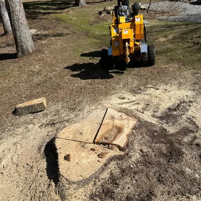 Stump grinder finishing a freshly ground stump in a wooded Tolland County yard